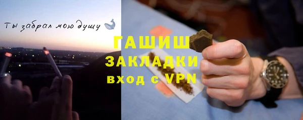 дживик Белокуриха