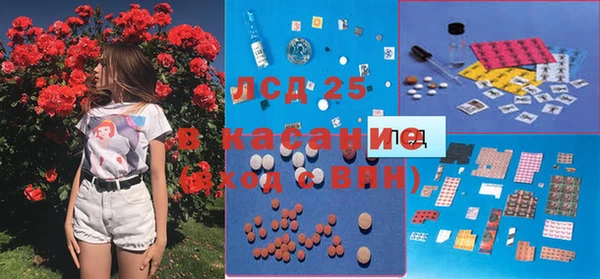 сатива Балахна