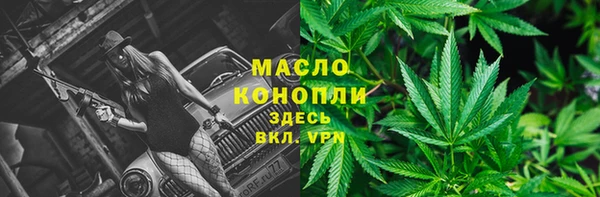 дживик Белокуриха