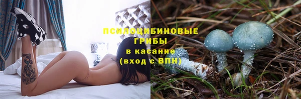 сатива Балахна