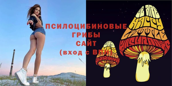 PSILOCYBIN Богородск
