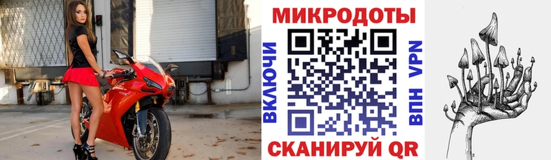 Галлюциногенные грибы Psilocybe  Борисоглебск 